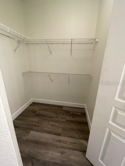 5125 PALM SPRINGS BLVD #11203, TAMPA, FL — photo 8