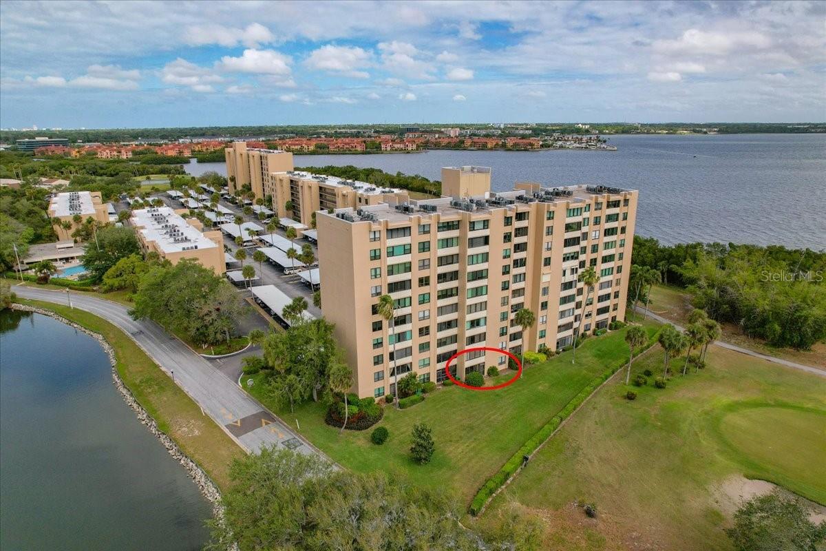 2616 COVE CAY DR #105, CLEARWATER, FL