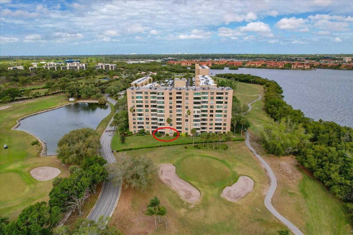 2616 COVE CAY DR #105, CLEARWATER, FL — photo 59