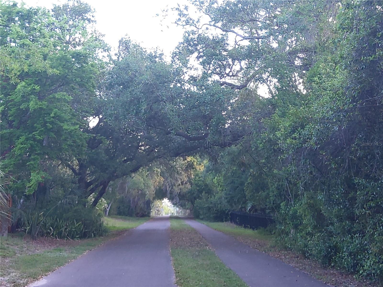 600 N MAYO ST, CRYSTAL BEACH, FL — photo 76