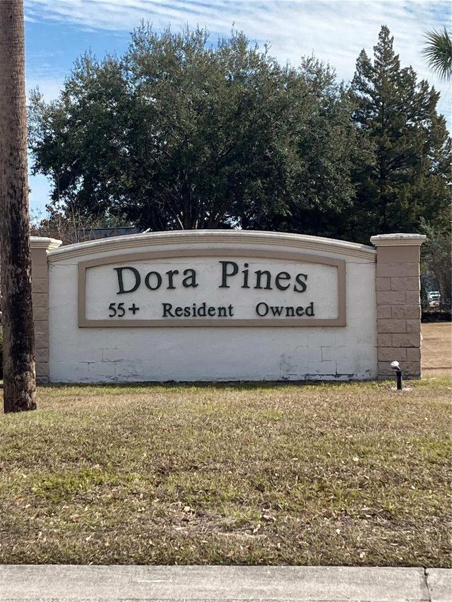 2470 KAREN DR, MOUNT DORA, FL — photo 87