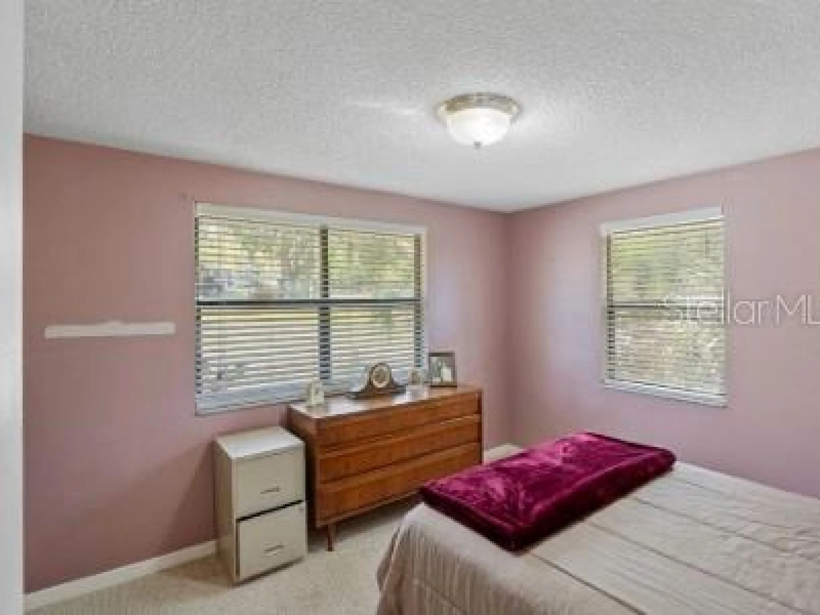 270 W MCCLENDON ST, LADY LAKE, FL — photo 24