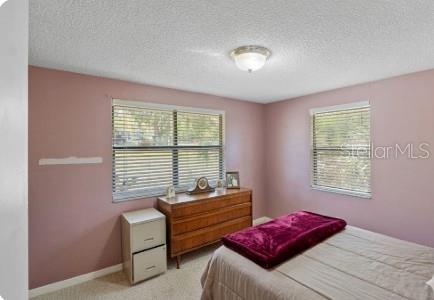 270 W MCCLENDON ST, LADY LAKE, FL — photo 23