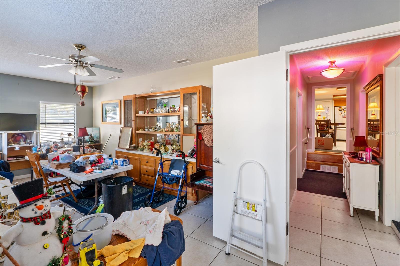 270 W MCCLENDON ST, LADY LAKE, FL — photo 43