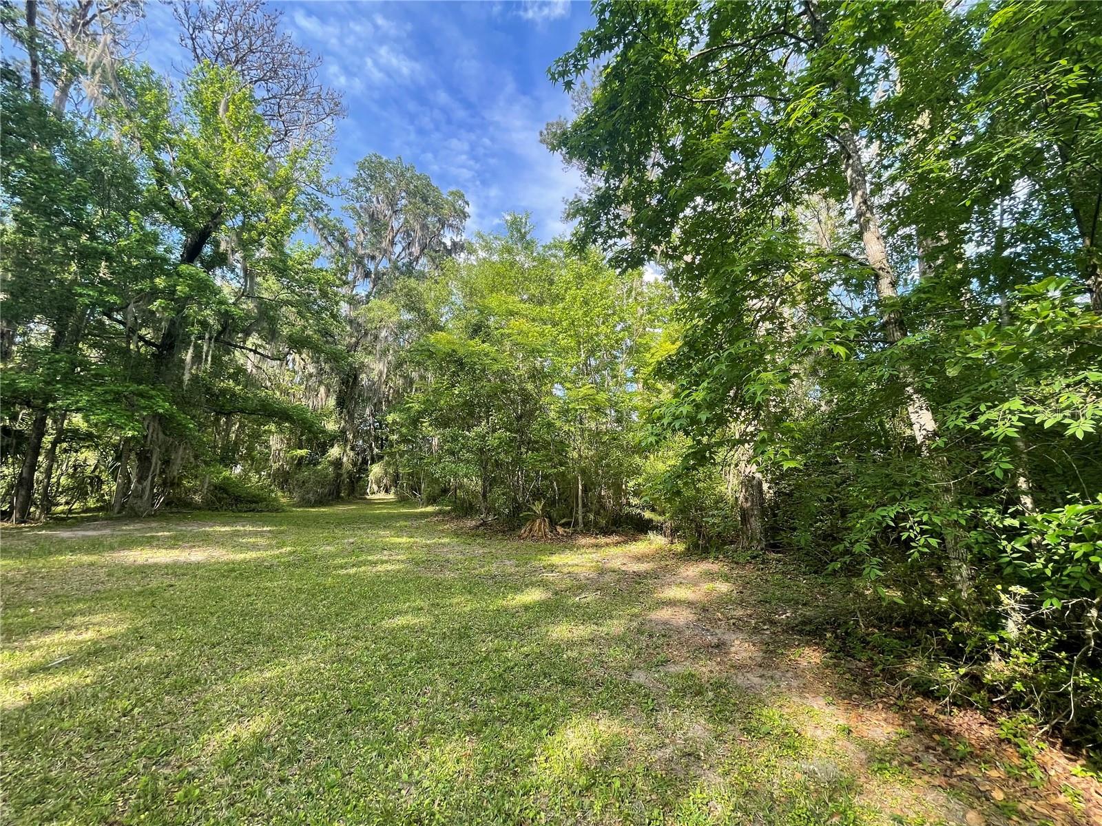 TBD NW 46TH ST, OCALA, FL — photo 3