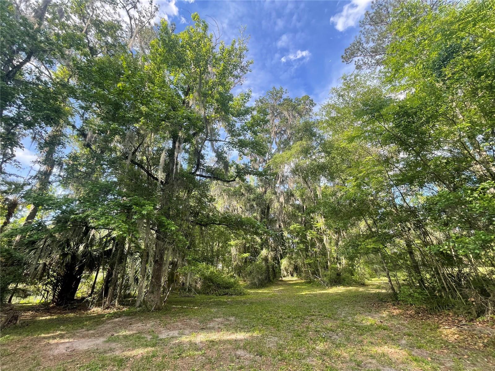 TBD NW 46TH ST, OCALA, FL — photo 6