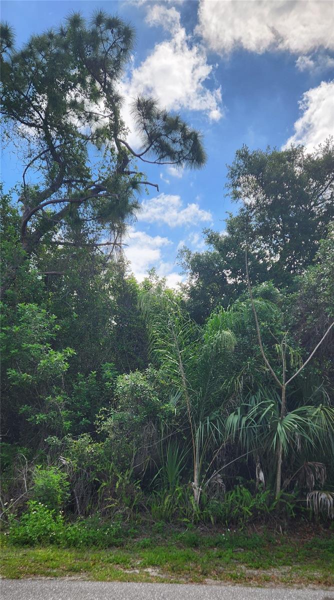 417 VERONA ST, PORT CHARLOTTE, FL — photo 3