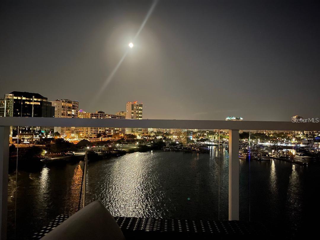 650 GOLDEN GATE PT #602, SARASOTA, FL — photo 40