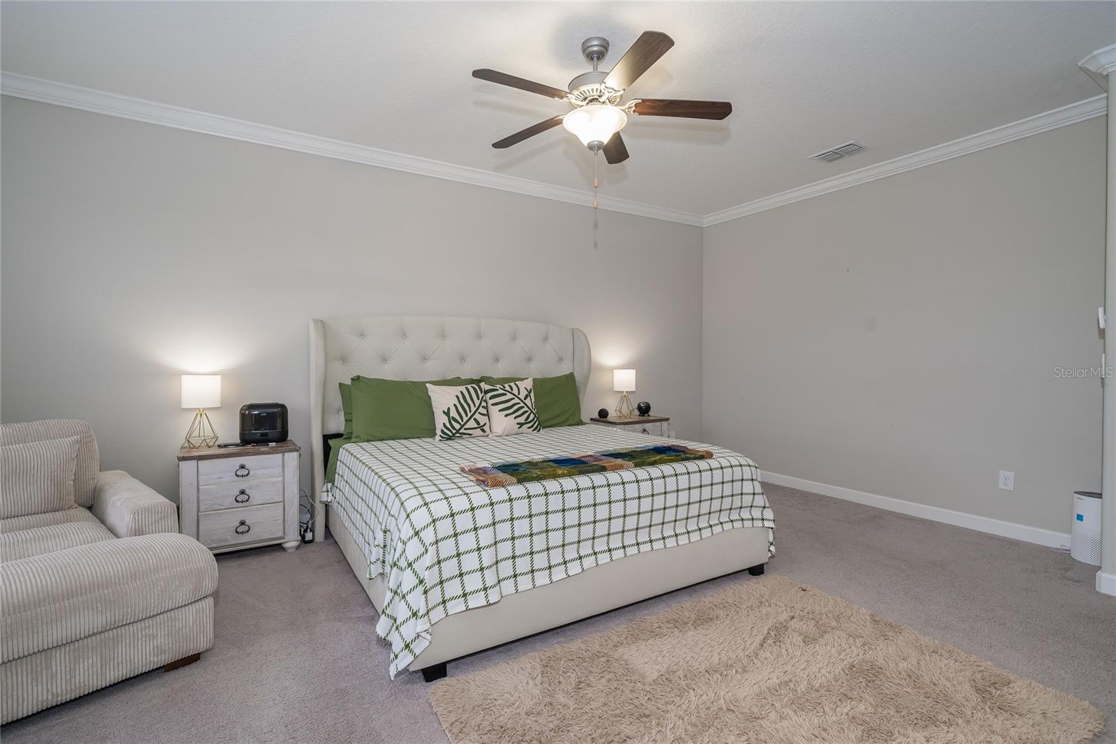 8099 LAGO MIST WAY, WESLEY CHAPEL, FL — photo 19