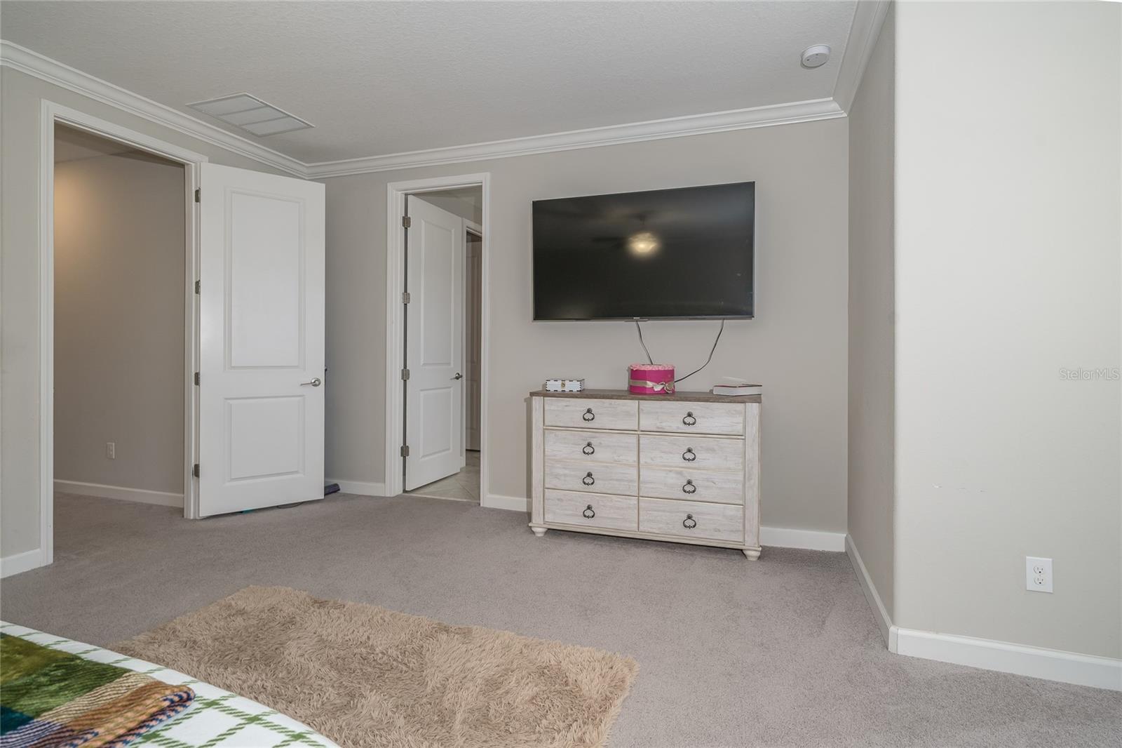 8099 LAGO MIST WAY, WESLEY CHAPEL, FL — photo 22