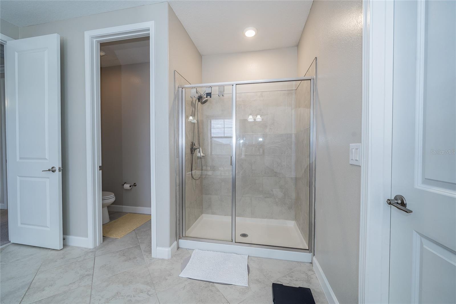 8099 LAGO MIST WAY, WESLEY CHAPEL, FL — photo 25