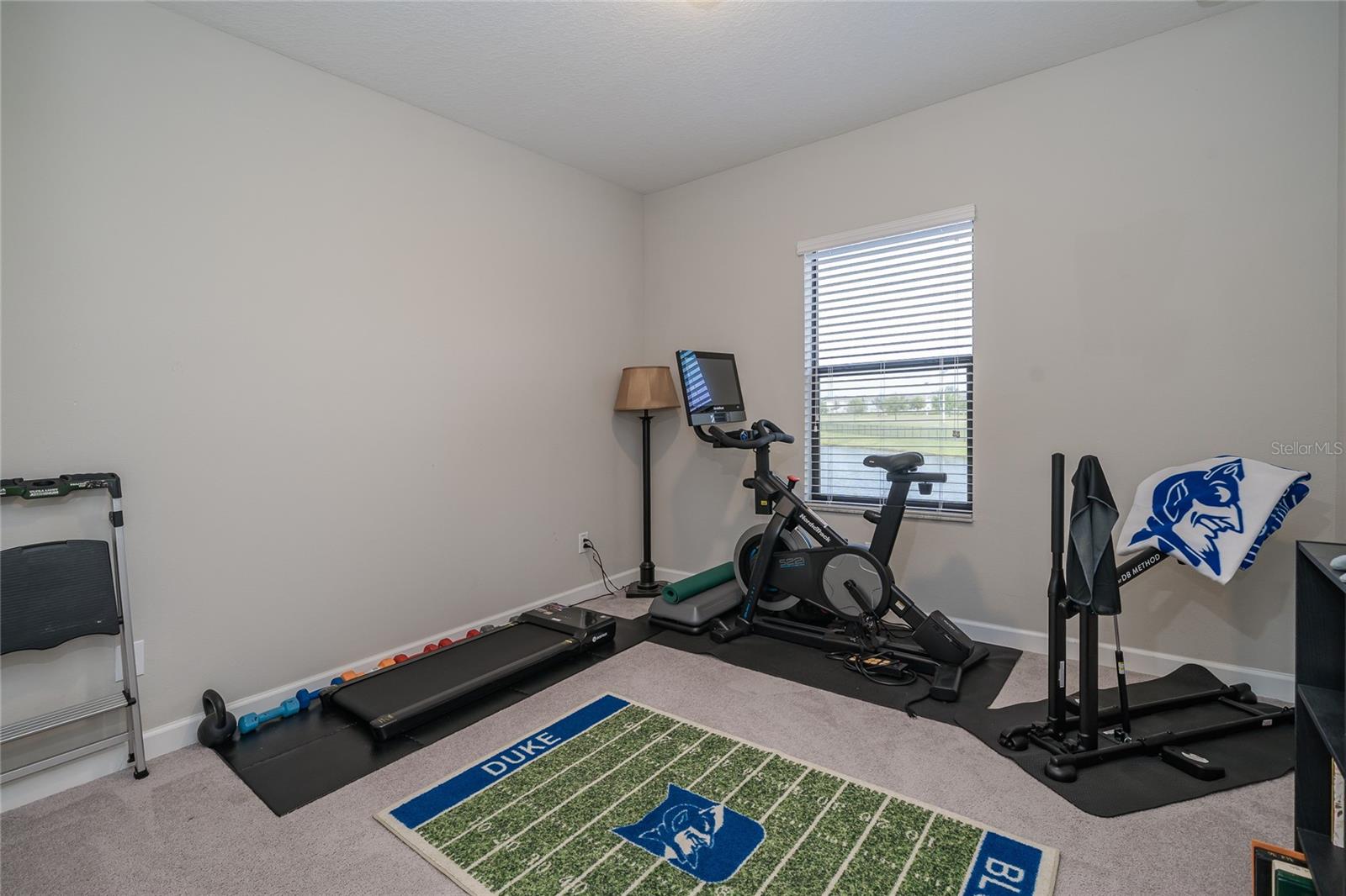8099 LAGO MIST WAY, WESLEY CHAPEL, FL — photo 29