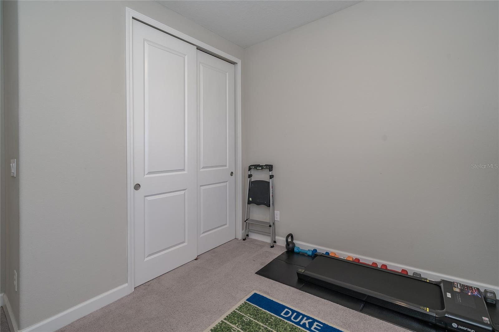 8099 LAGO MIST WAY, WESLEY CHAPEL, FL — photo 34