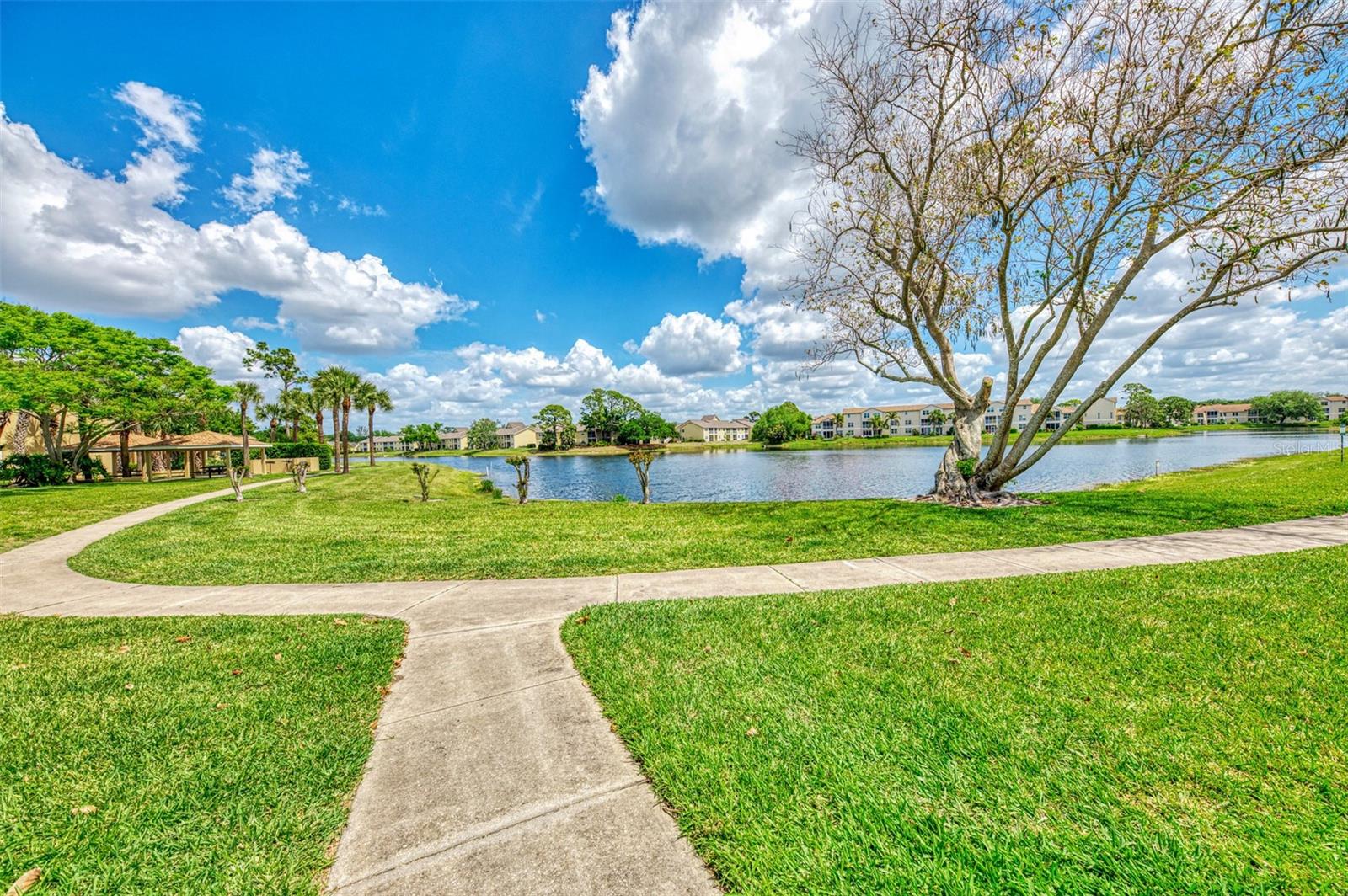 4045 CROCKERS LAKE BLVD #11, SARASOTA, FL — photo 50