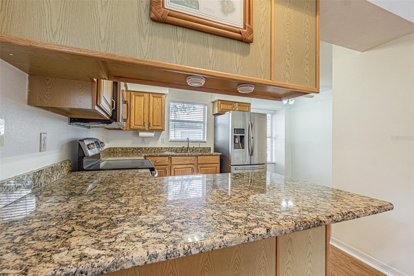 11204 COREY PAVIN LN, SAN ANTONIO, FL — photo 19