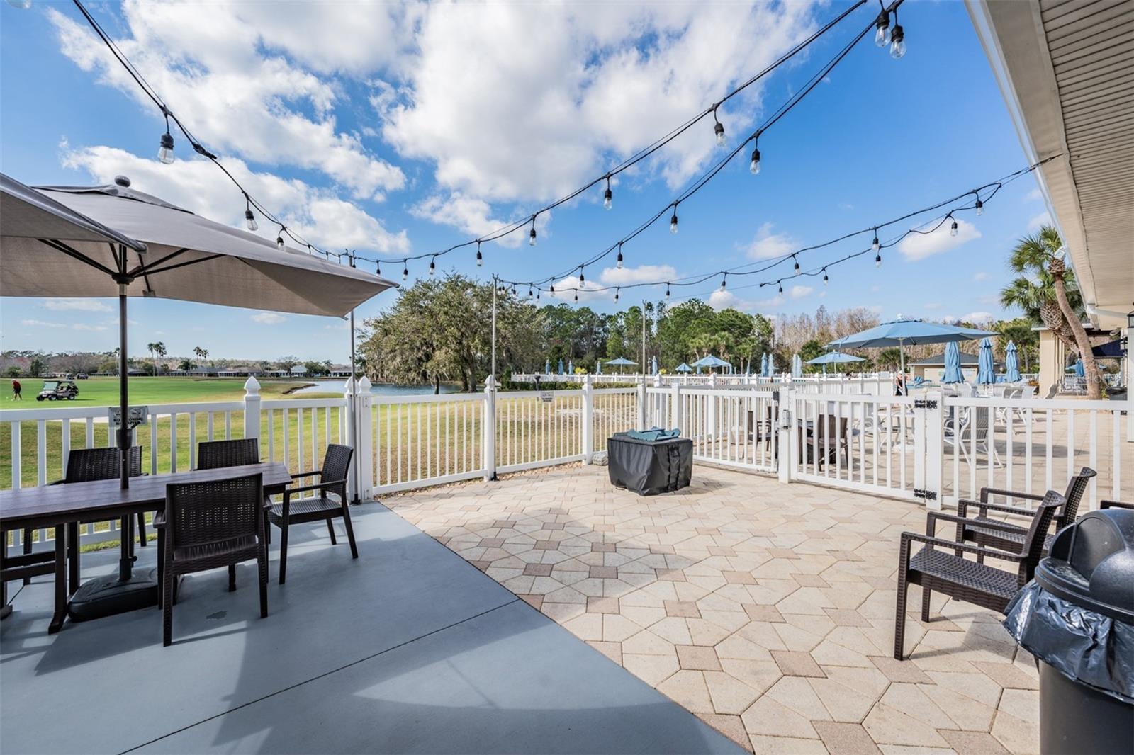 11204 COREY PAVIN LN, SAN ANTONIO, FL — photo 50