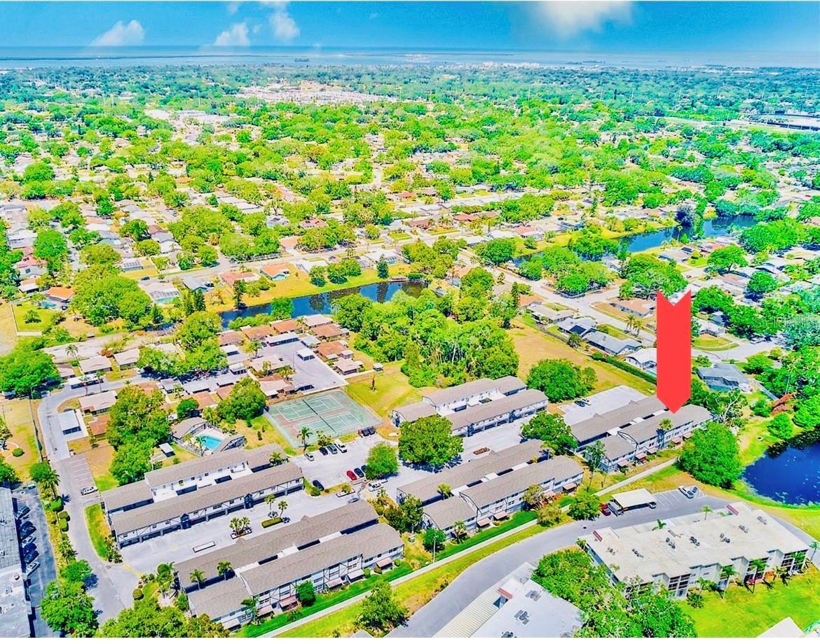 1127 KING ARTHUR CT #309, DUNEDIN, FL — photo 3