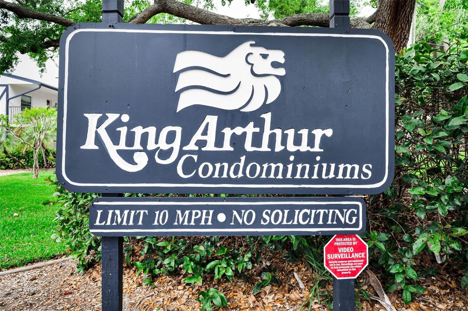 1127 KING ARTHUR CT #309, DUNEDIN, FL — photo 35