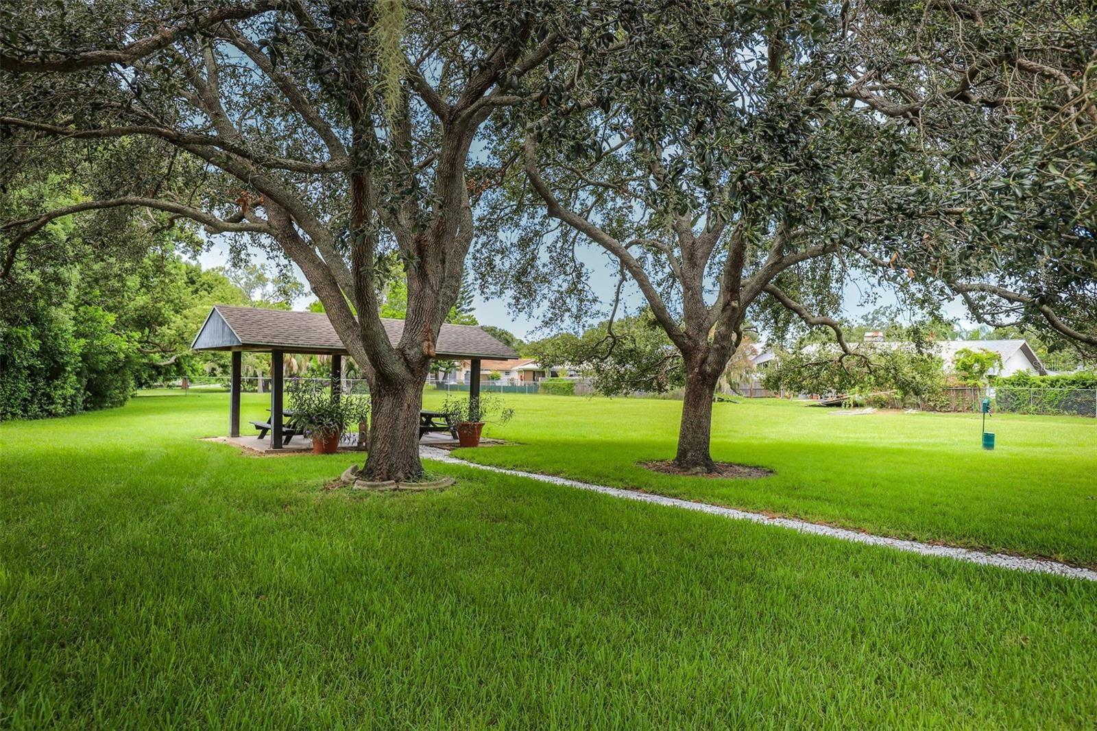 1127 KING ARTHUR CT #309, DUNEDIN, FL — photo 37