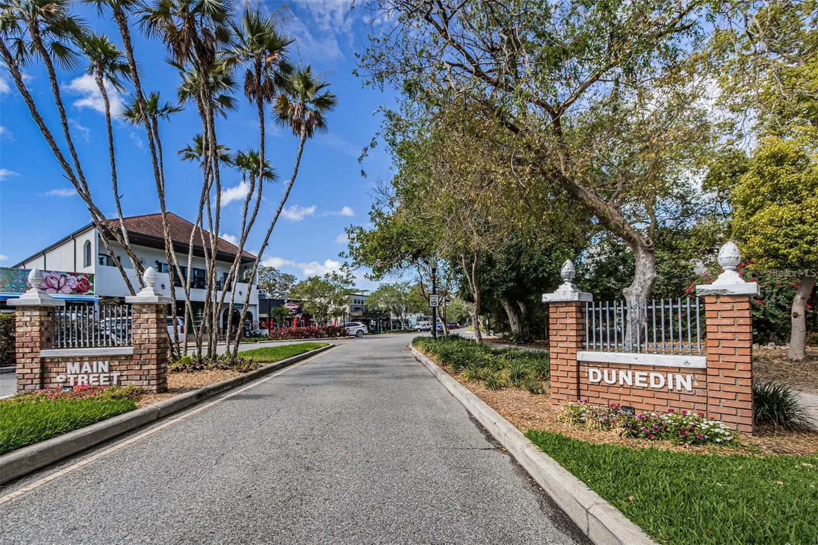 1127 KING ARTHUR CT #309, DUNEDIN, FL — photo 51