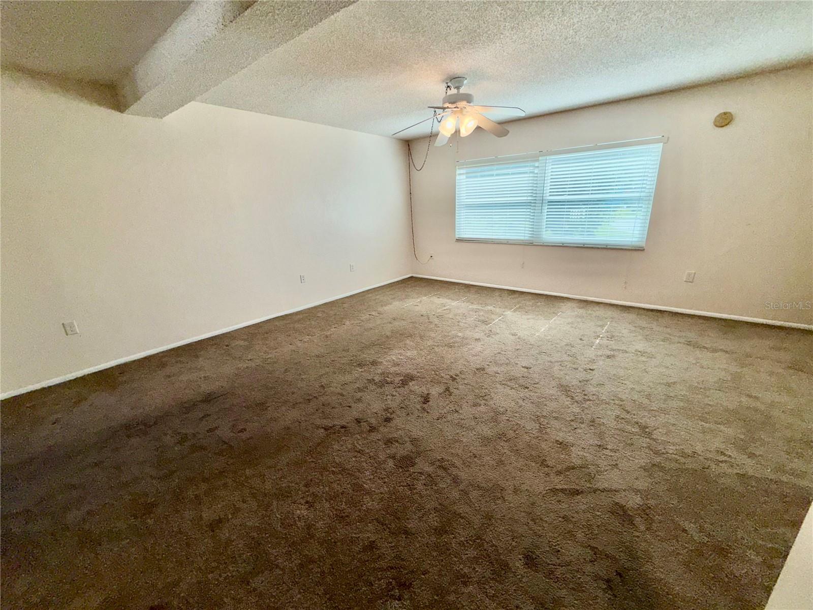 1127 KING ARTHUR CT #309, DUNEDIN, FL — photo 19