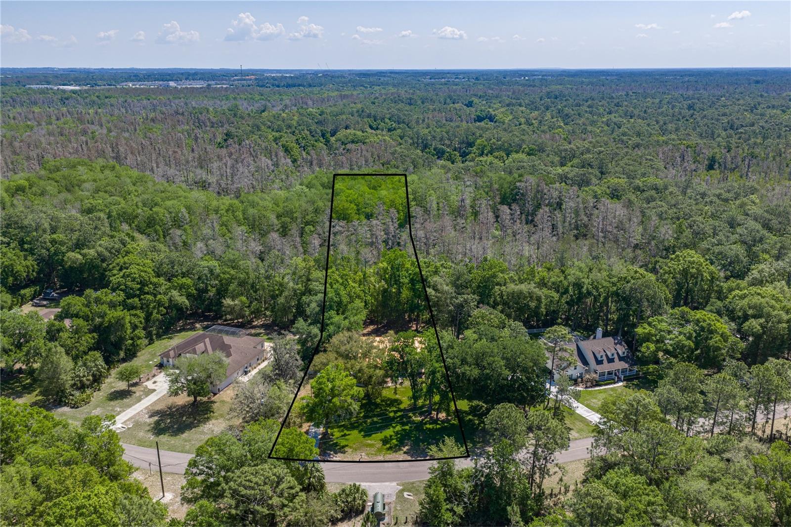 8600 SHENANDOAH RUN, WESLEY CHAPEL, FL — photo 2