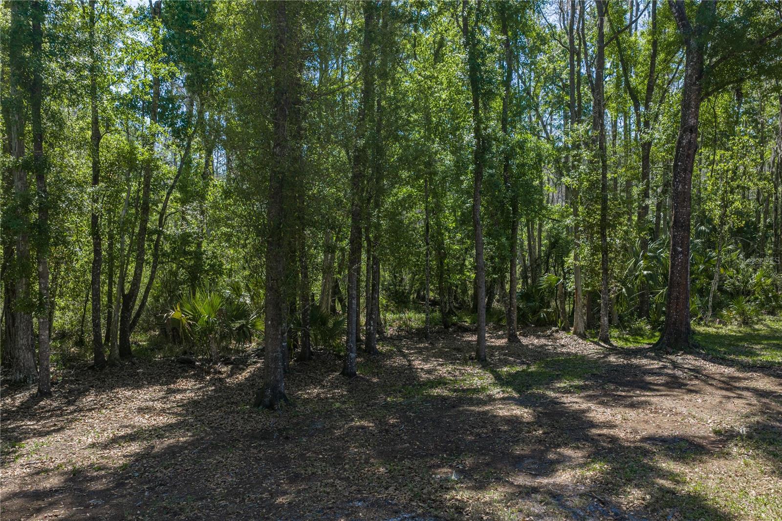 8600 SHENANDOAH RUN, WESLEY CHAPEL, FL — photo 49