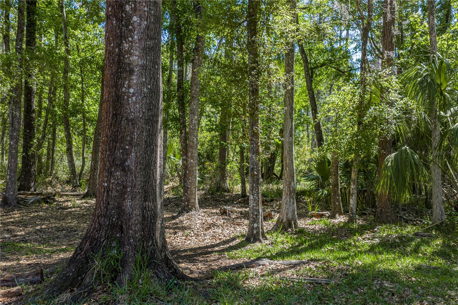 8600 SHENANDOAH RUN, WESLEY CHAPEL, FL — photo 50