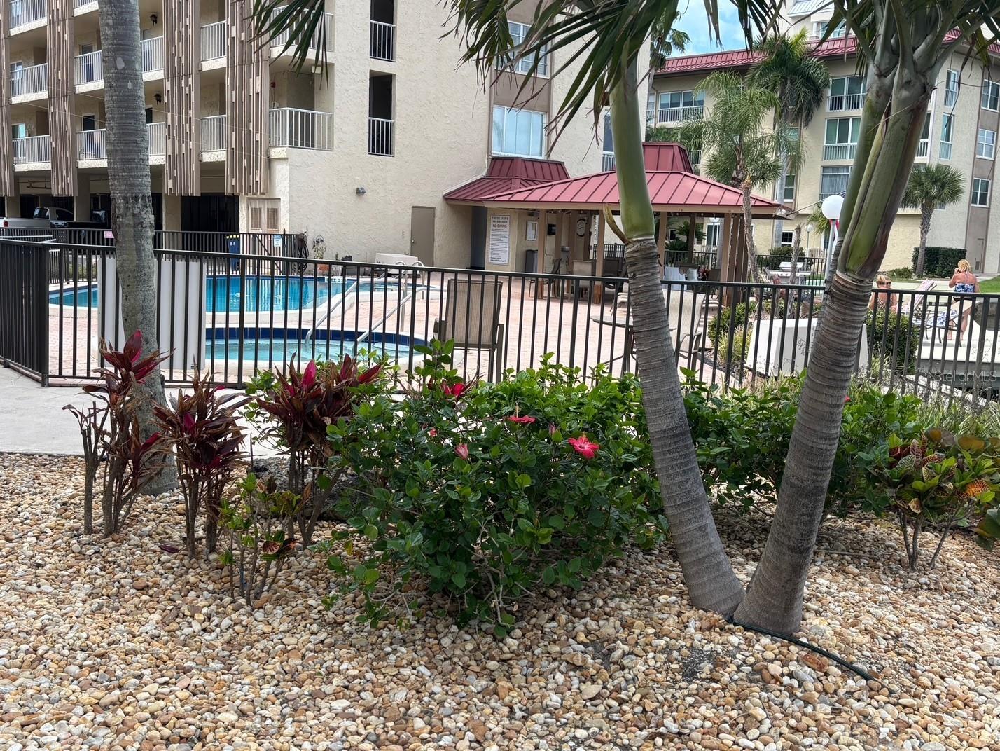 121 ISLAND WAY #331, CLEARWATER BEACH, FL — photo 34