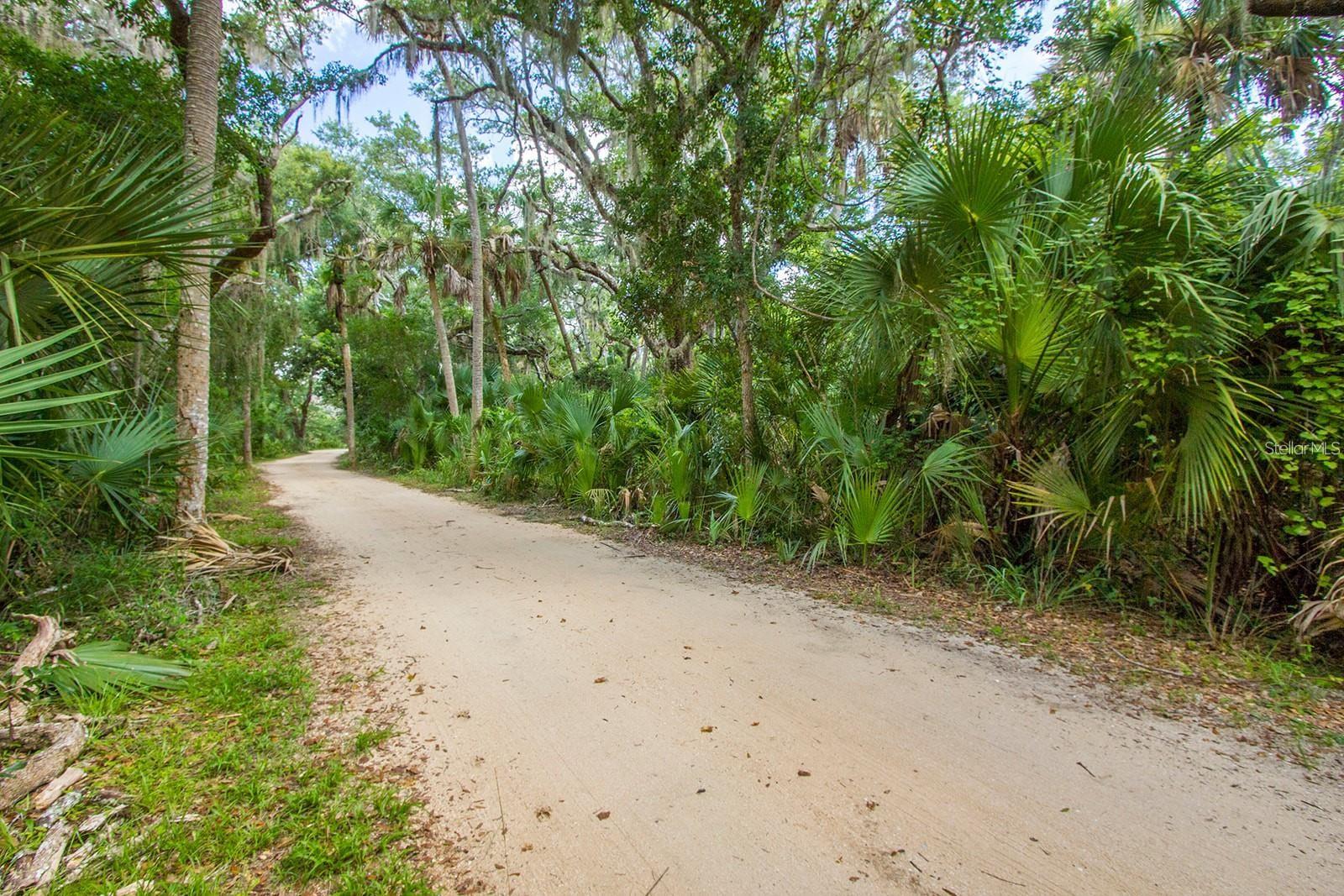 60 SURFVIEW DR #209, PALM COAST, FL — photo 49