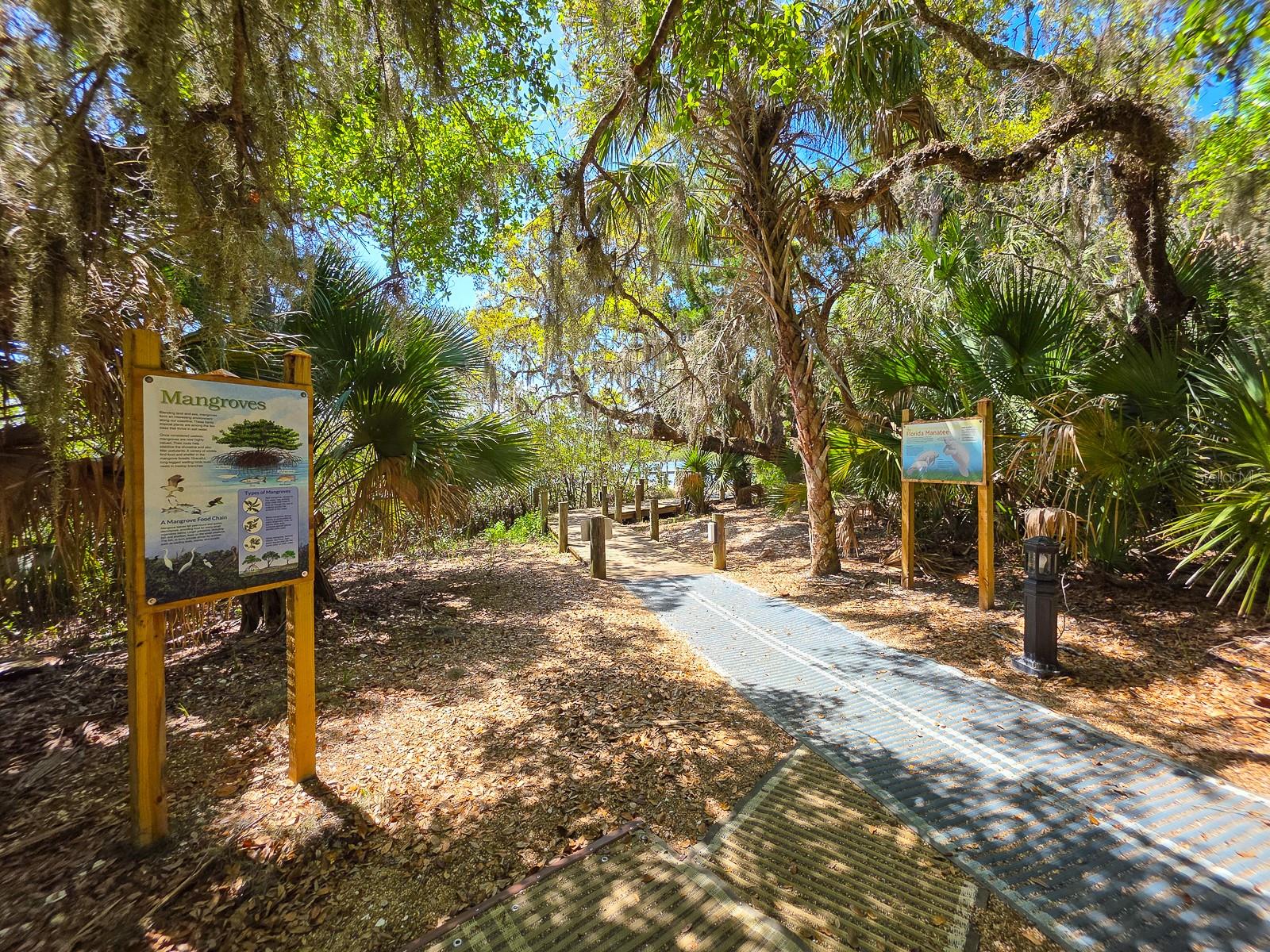 60 SURFVIEW DR #209, PALM COAST, FL — photo 50