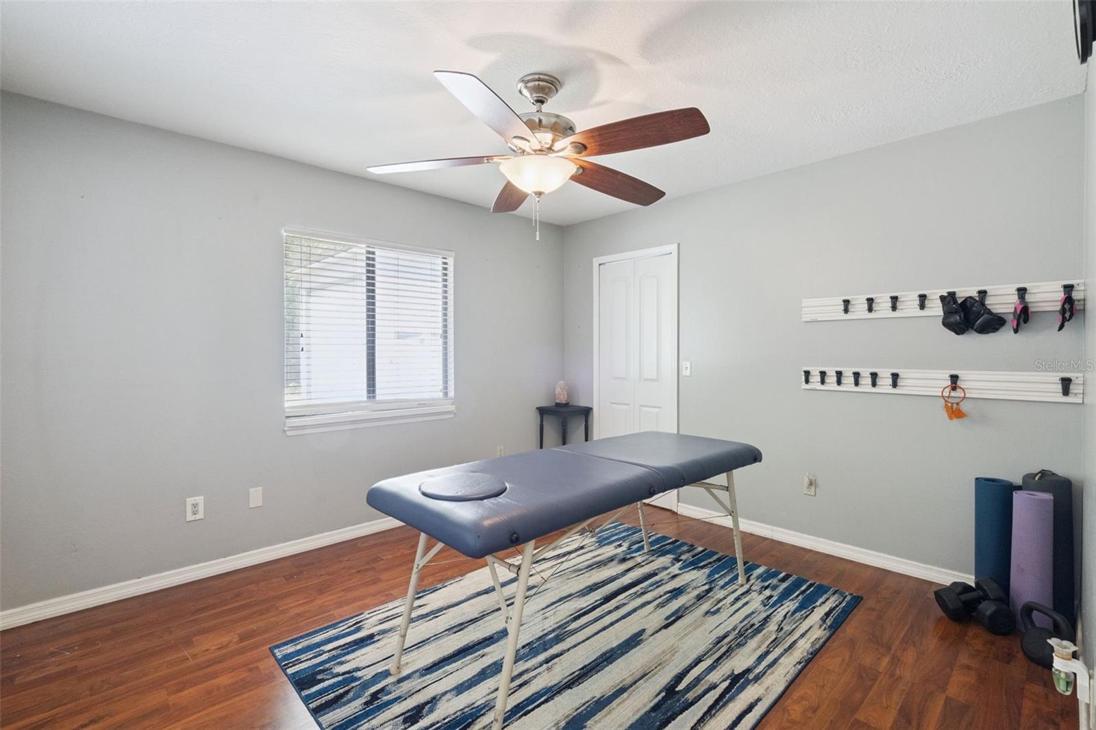 3501 HILL STREAM AVE, APOPKA, FL — photo 53