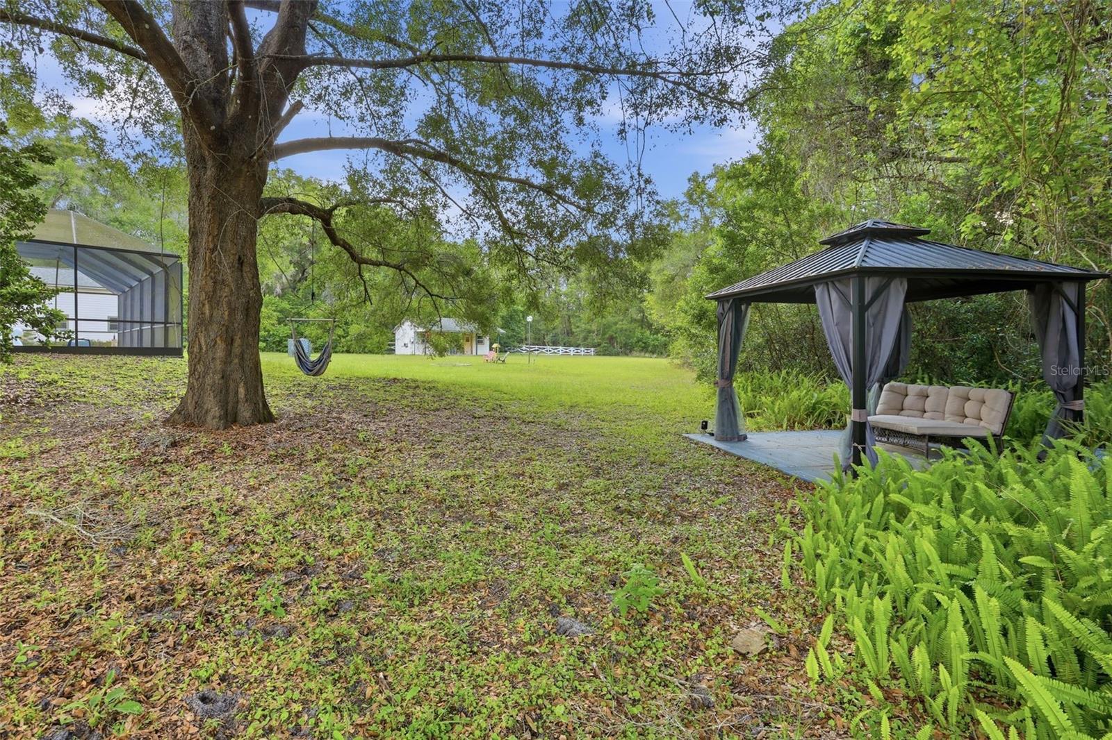 3501 HILL STREAM AVE, APOPKA, FL — photo 67