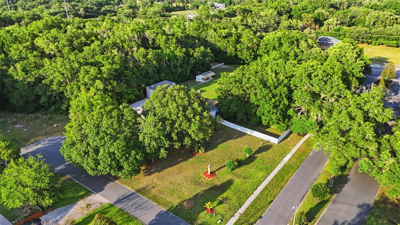 3501 HILL STREAM AVE, APOPKA, FL — photo 80