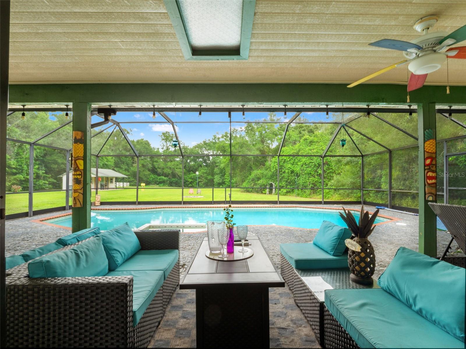3501 HILL STREAM AVE, APOPKA, FL — photo 40
