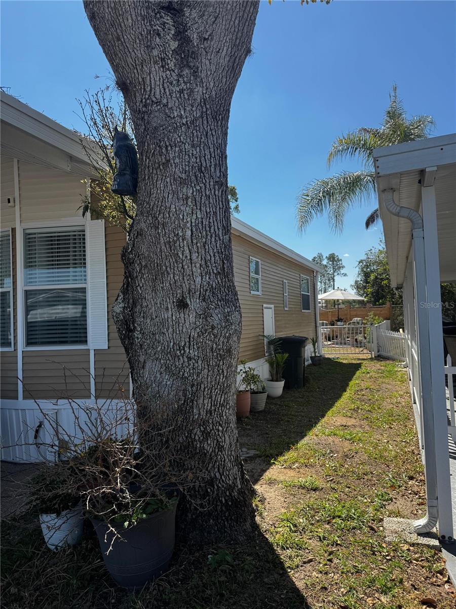 123 PANSY ST, DAVENPORT, FL — photo 16