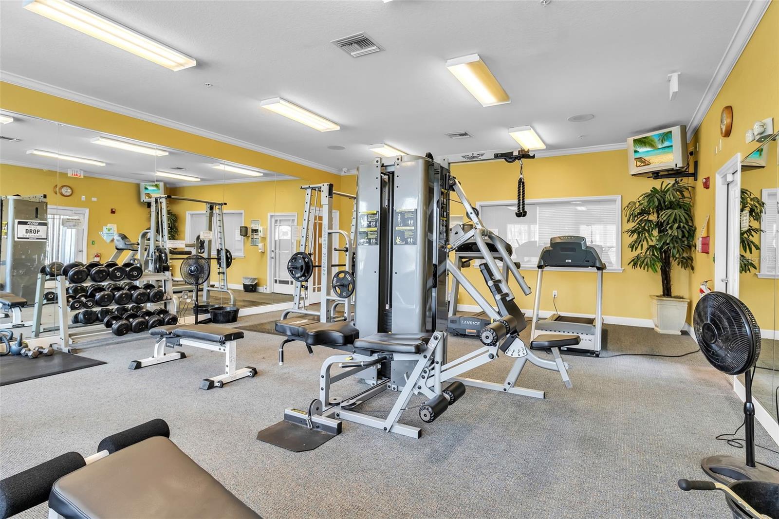 5511 ROSEHILL RD #203, SARASOTA, FL — photo 43