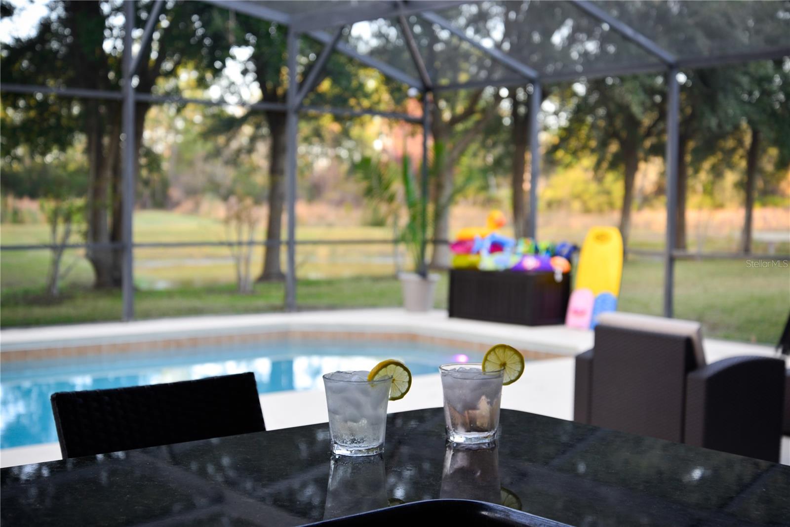 110 ORANGE COSMOS BLVD, DAVENPORT, FL — photo 9