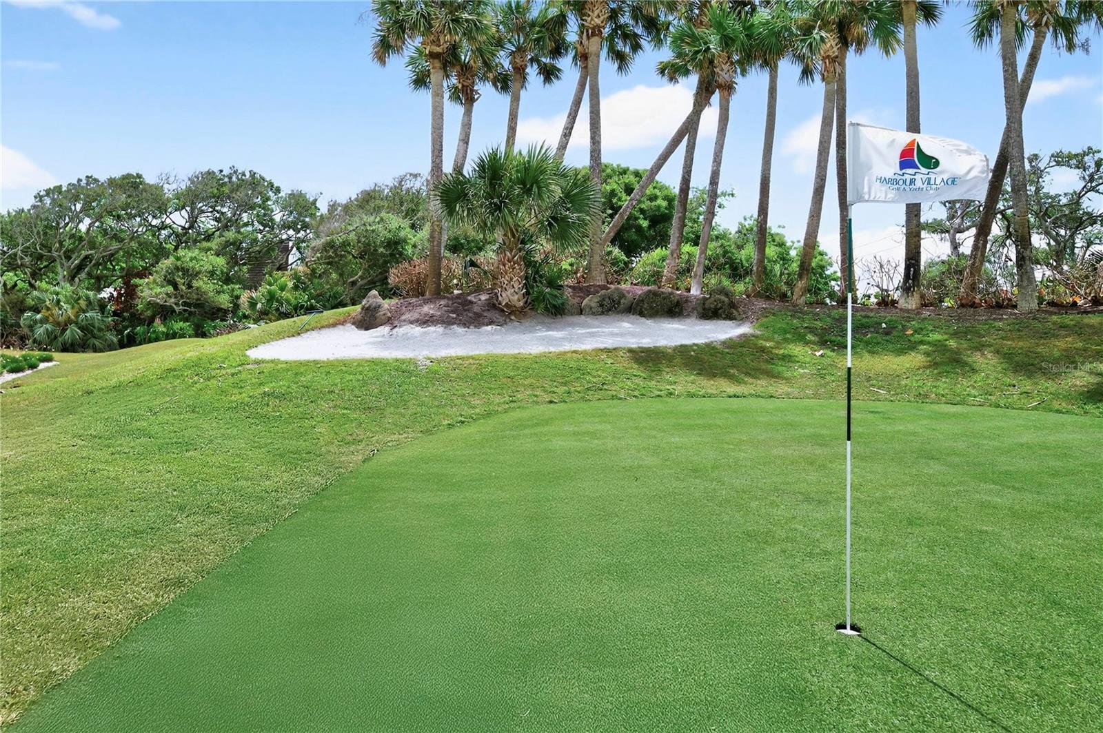 4670 LINKS VILLAGE DR #D506, PONCE INLET, FL — photo 43
