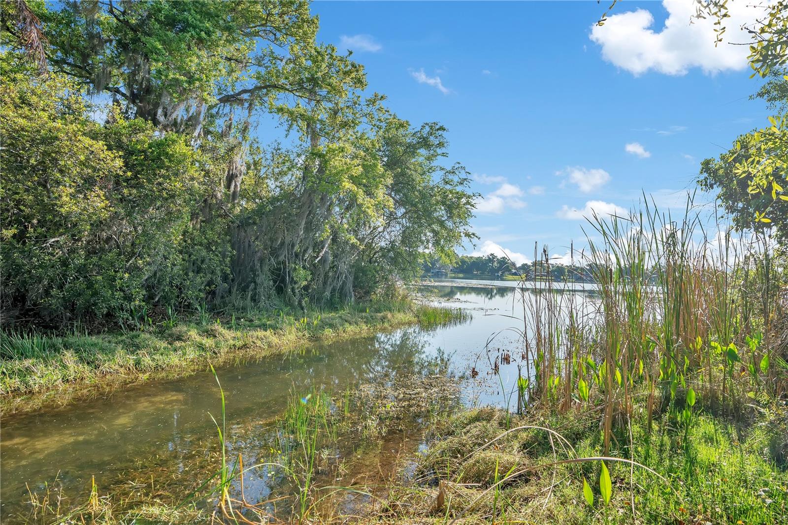 4610 OAK COVE LN, ORLANDO, FL — photo 58