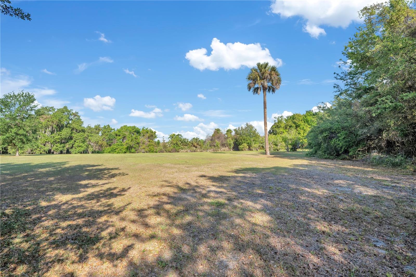 4610 OAK COVE LN, ORLANDO, FL — photo 59