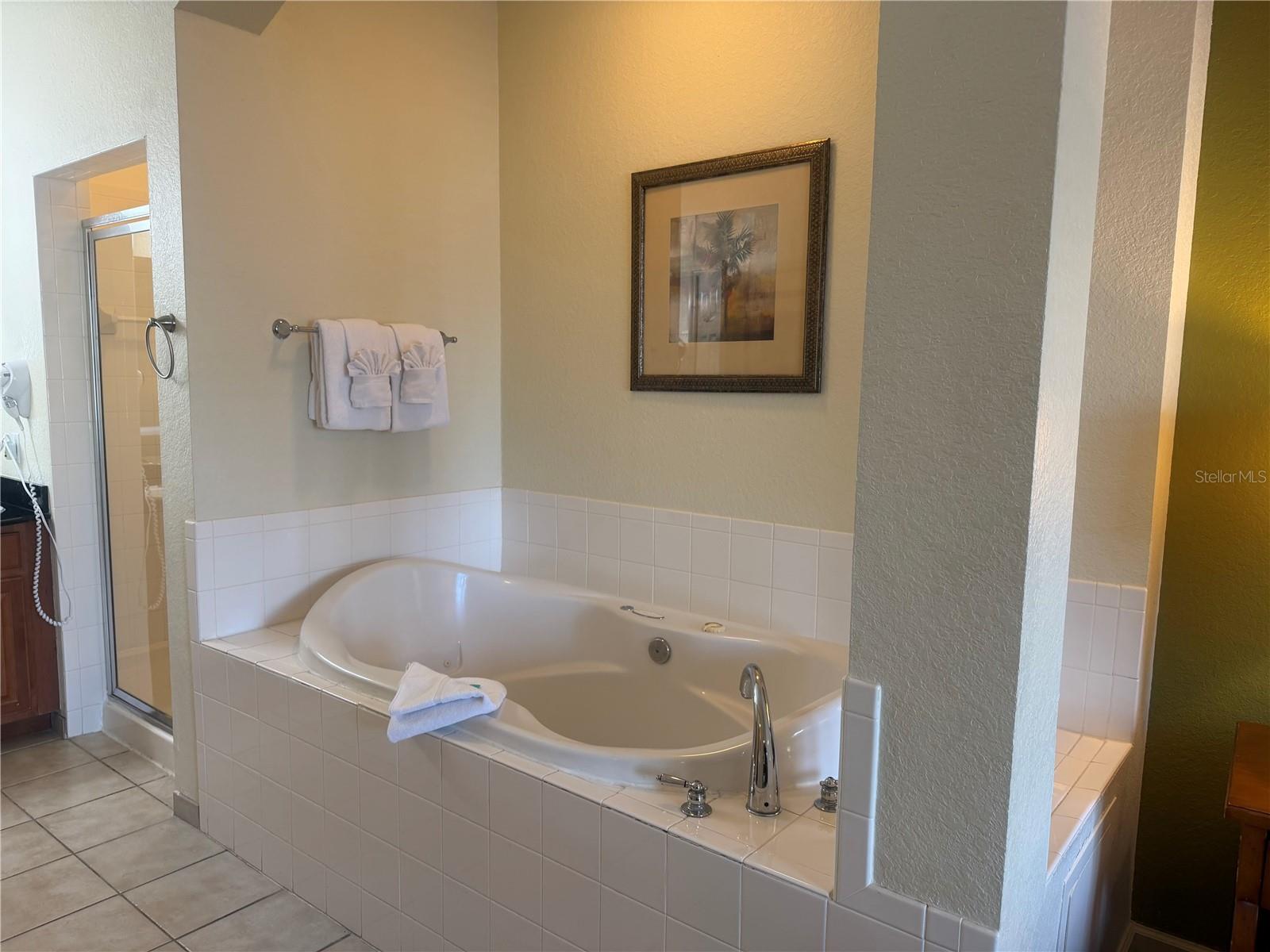 8100 POINCIANA BLVD #2106, ORLANDO, FL — photo 16