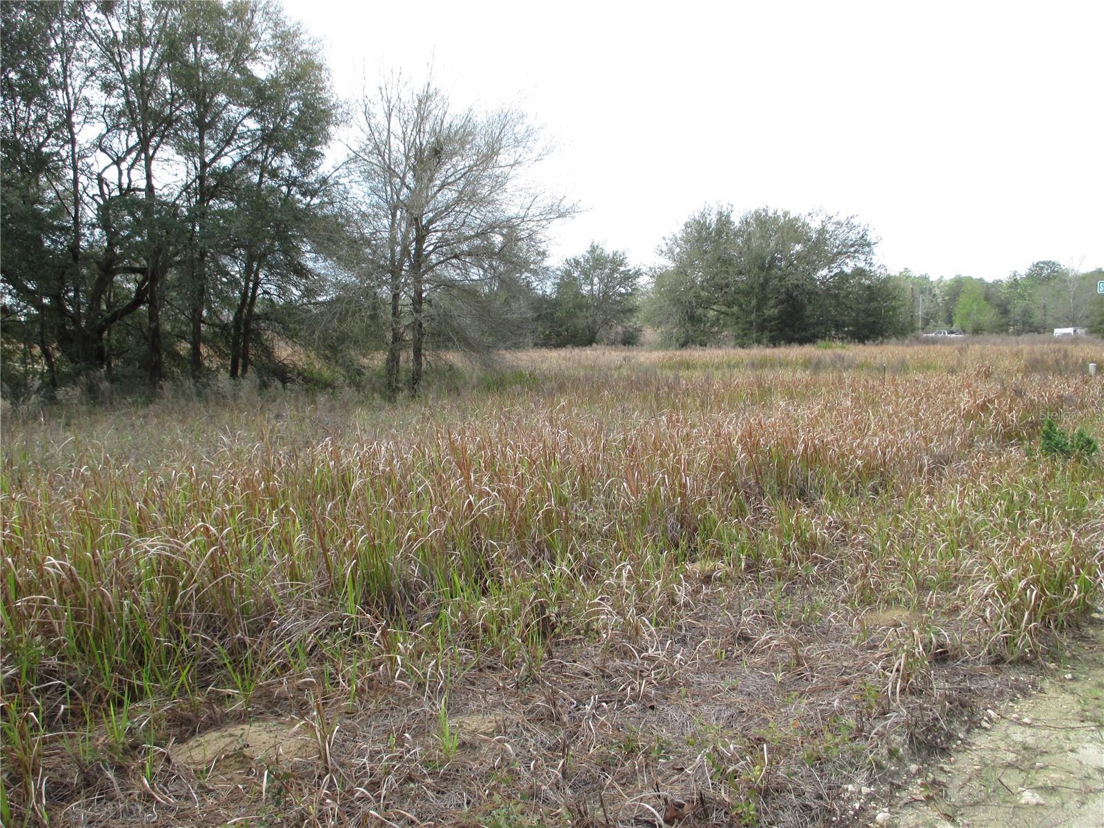 SW 24TH, OCALA, FL — photo 3