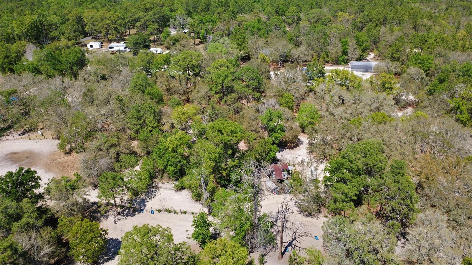 589 S LEONA AVE, LECANTO, FL — photo 8