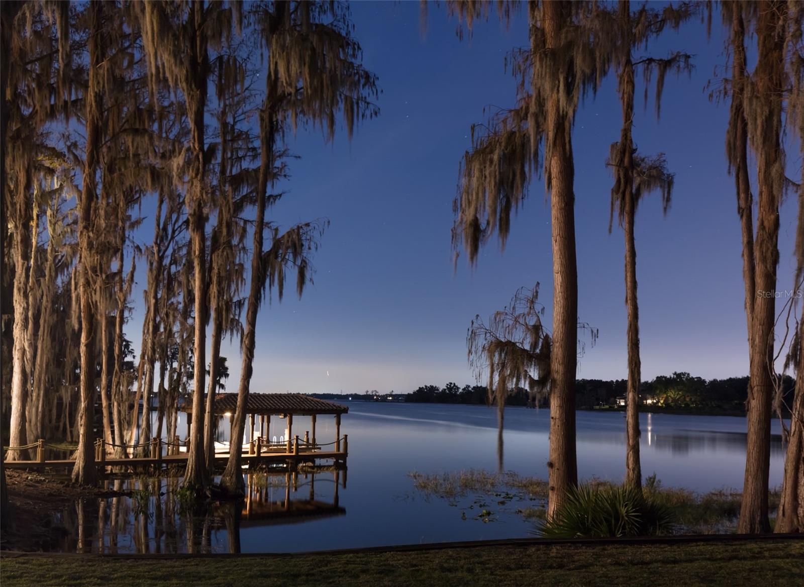 12488 PARK AVE, WINDERMERE, FL — photo 57