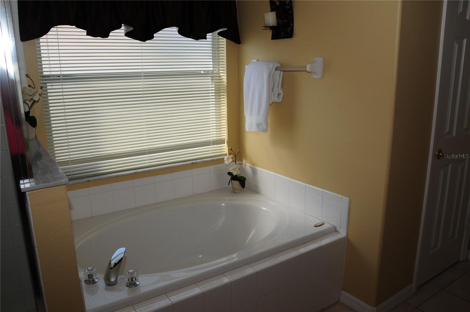 8015 INDIAN CREEK BLVD, KISSIMMEE, FL — photo 29