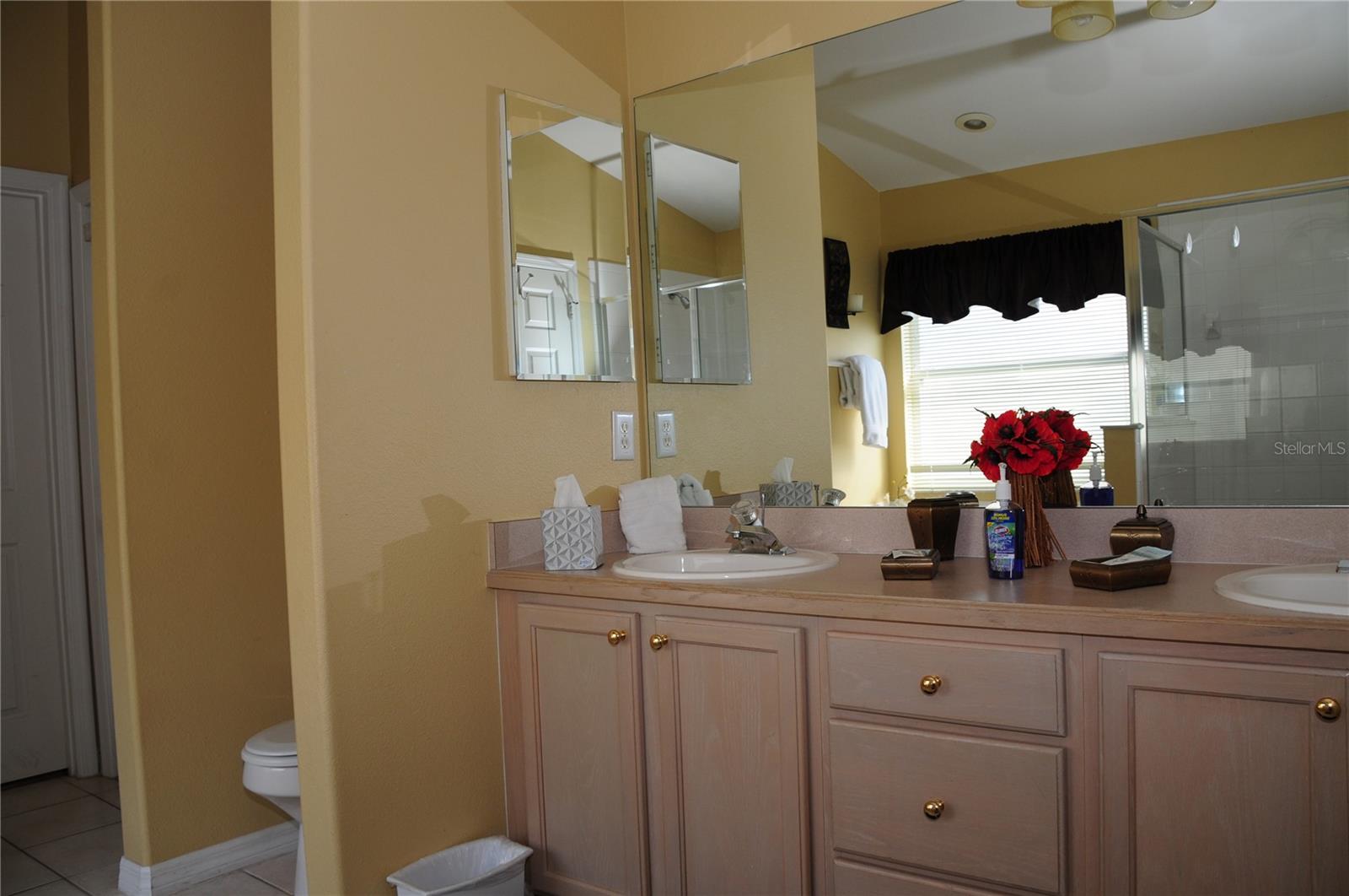 8015 INDIAN CREEK BLVD, KISSIMMEE, FL — photo 43