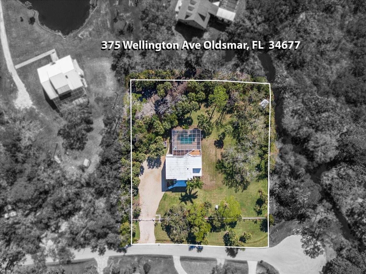 375 WELLINGTON AVE, OLDSMAR, FL — photo 46