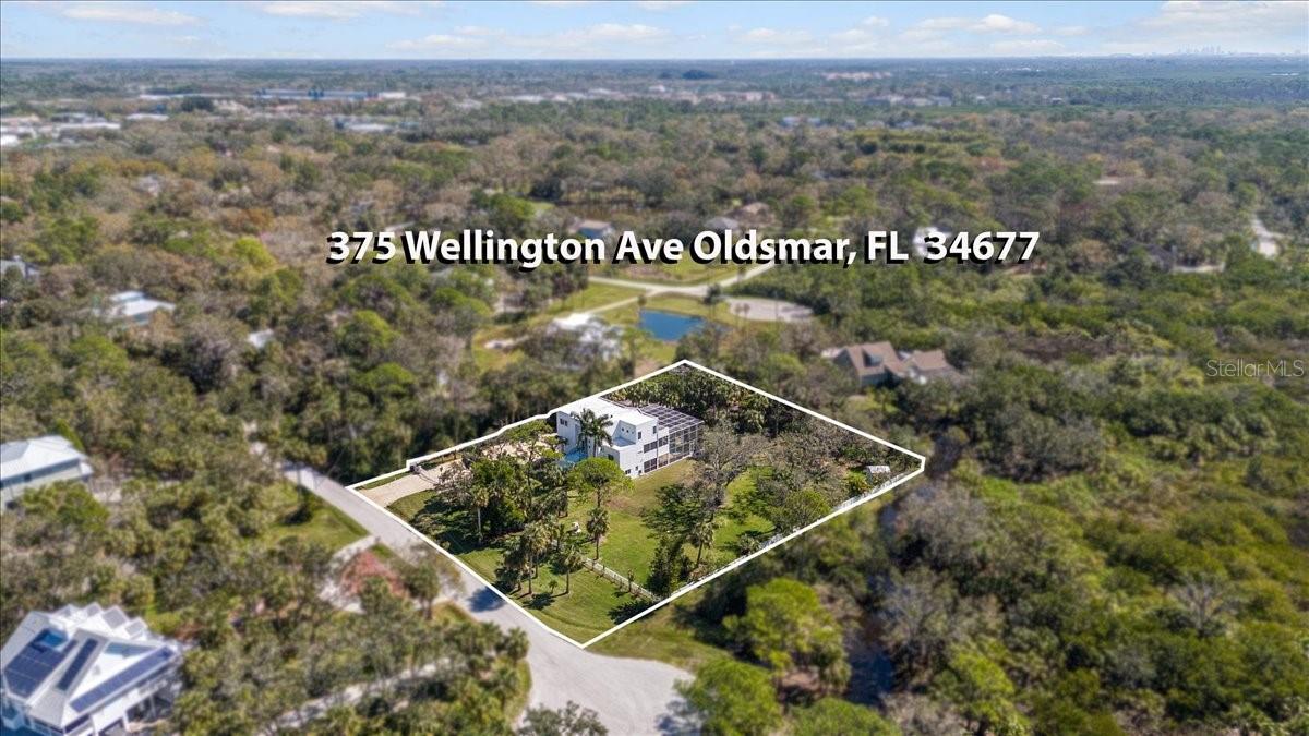 375 WELLINGTON AVE, OLDSMAR, FL — photo 49