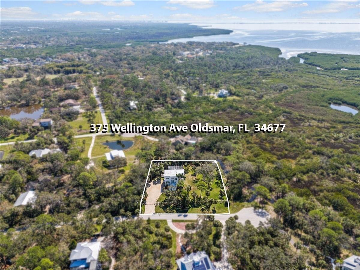 375 WELLINGTON AVE, OLDSMAR, FL — photo 70
